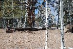 002_2009-0214-1351-30.jpg
